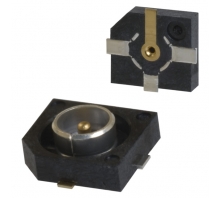 Imagen H.FL-R-SMT(01)