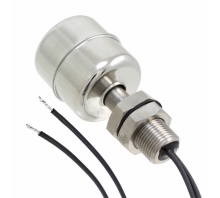 Imagen SSF22X100-M12X1