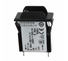 Imagen R11-4-5.00A-R01CV-V