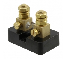 Imagen RSA-100-50