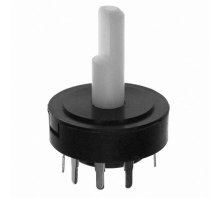 Imagen R20307RN02Q