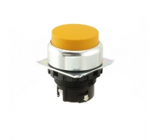 Imagen A22NZ-RPM-TYA