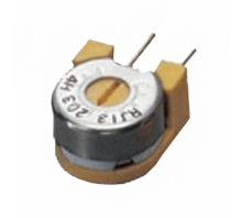 Imagen RJ13S254