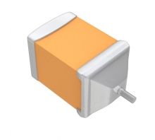 Imagen F950G107KPAAQ2