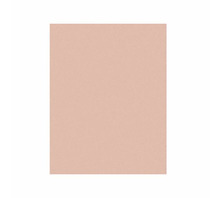 Imagen 5MIC 3M261X SHEET 8.5X11