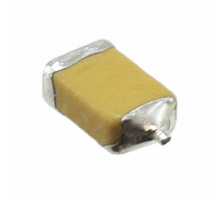 Imagen F950G107KSAAQ2