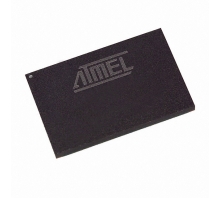 Imagen AT91FR4081-33CI