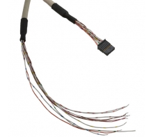 Imagen AMT203303-10CS036