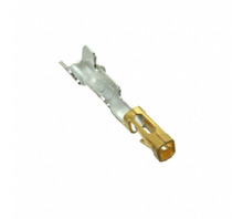 Imagen CC79L-2024-01-F