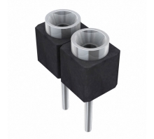 Imagen SS-102-TT-2-N