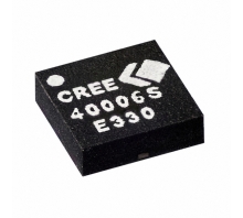 Imagen CGH40006S