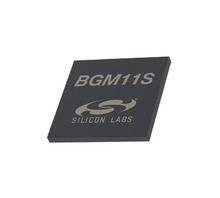 Imagen BGM11S22F256GA-V2