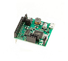 Imagen CS-LABRADOR-01