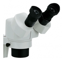 Imagen NSW-20