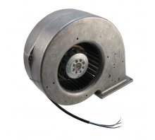 Imagen G2E146-BF01-35