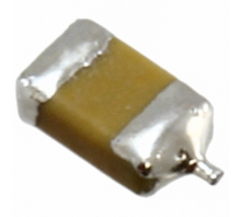 Imagen F950J107MSAAM1Q