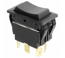 Imagen RVW46D1100