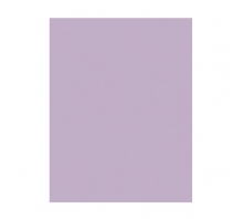 Imagen 1MIC 3M668X PSA SHEET 9X11