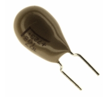 Imagen T356L107K016AT